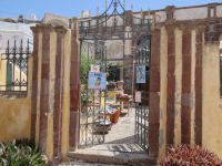 Cyclades - Santorini - Pyrgos - Santorini Animal Welfare Association (SAWA)