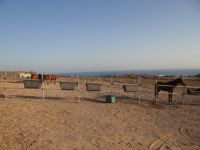 Cyclades - Santorini - Akrotiri - Santo Horse Riding