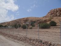 Cyclades - Santorini - Exomitis - Ancient Elefsis
