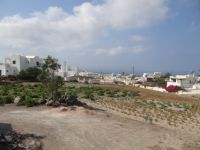 Cyclades - Santorini - Megalochori - Arvanitis Winery