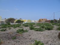 Cyclades - Santorini - Megalochori - Gavalas Winery
