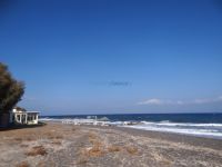Avis beach