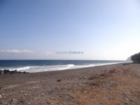 Avis beach