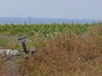 Santorini - Path 6: Pirgos - Megalochori