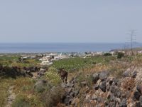 Santorini - Path 6: Pirgos - Megalochori