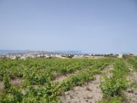 Santorini - Path 6: Pirgos - Megalochori