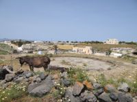 Santorini - Megalochori - Threshing Floor