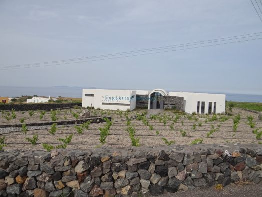 Santorini - Megalochori - Vassaltis Inopiio